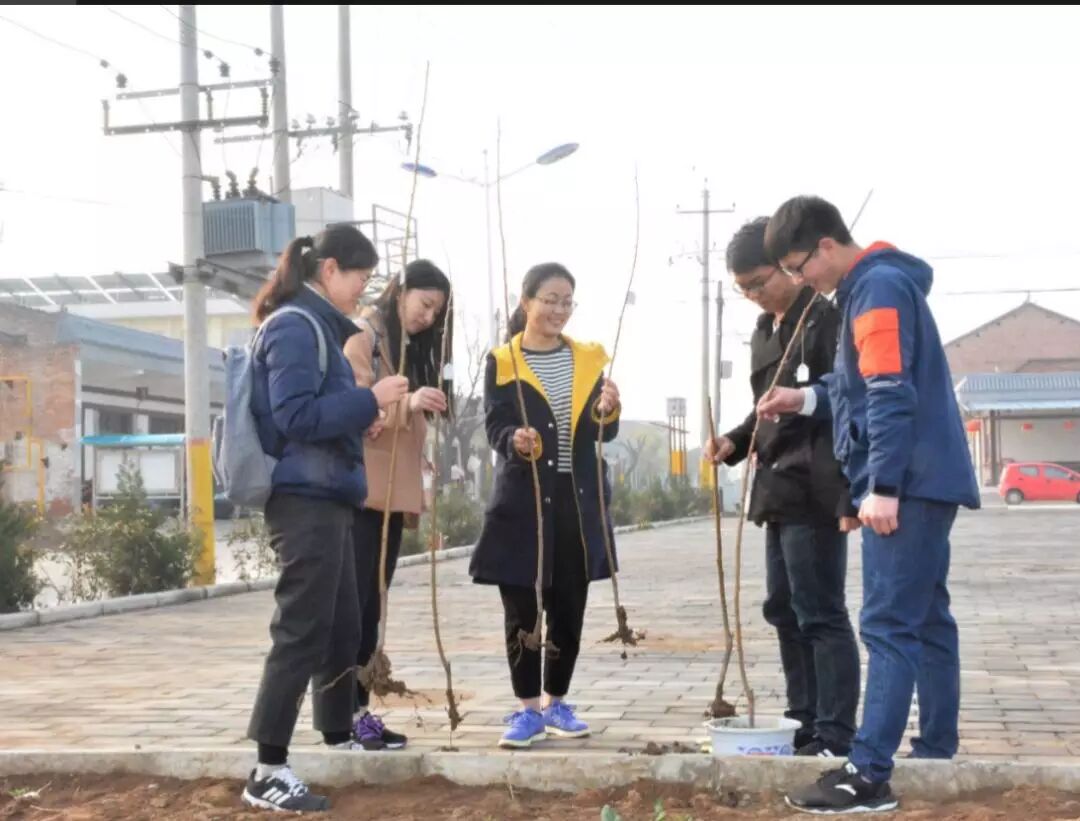 百家乐规则